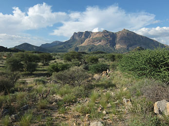 Namibia Hohenstein 5