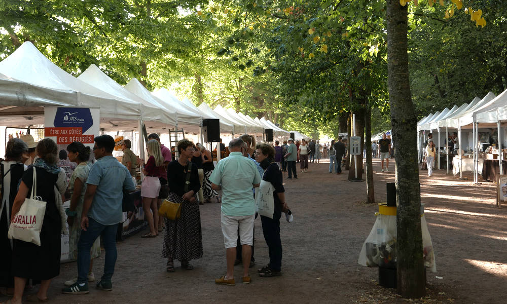 Lothringen Mirabelle 7