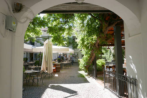 Slow Food 13
