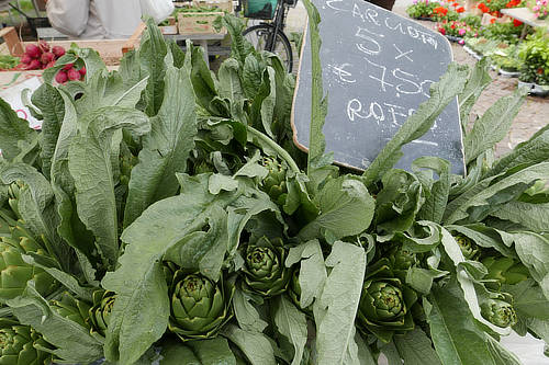 Slow Food 7