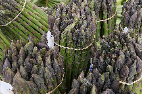 Slow Food 8